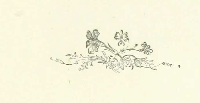 An illustration from Rambles and scrambles in the Tyrol. By E. R. H. [i.e. E. R. Hill.] [With two chapters contributed by Henry Hill, 1885, leaf 85