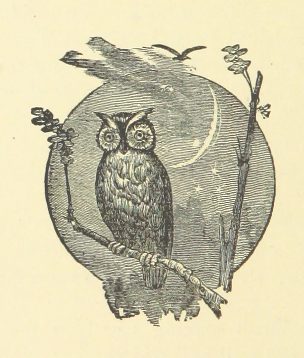 An illustration from Among the Forest Trees, or, how the Bushman family got their homes. Being a book of facts and incidents of pioneer life in Upper Canada, arranged in the form of a story, 1888, leaf 238