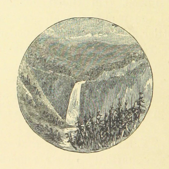 An illustration from Among the Forest Trees, or, how the Bushman family got their homes. Being a book of facts and incidents of pioneer life in Upper Canada, arranged in the form of a story, 1888, leaf 316