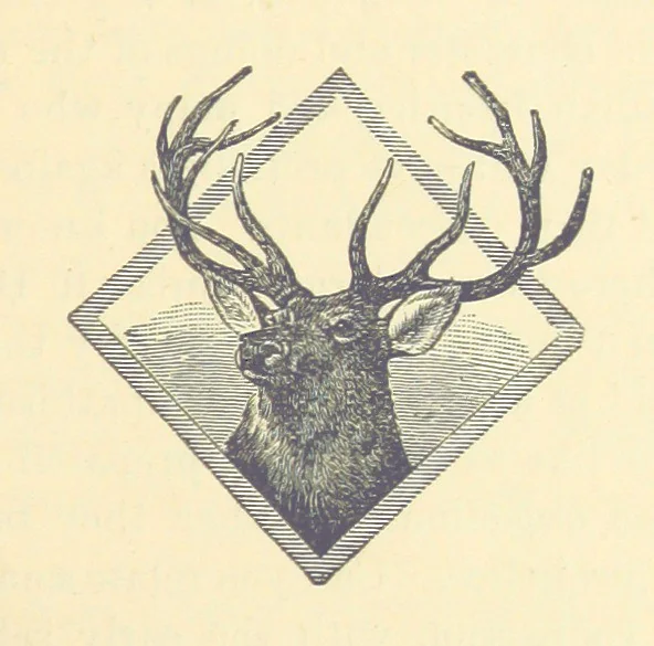 An illustration from Among the Forest Trees, or, how the Bushman family got their homes. Being a book of facts and incidents of pioneer life in Upper Canada, arranged in the form of a story, 1888, leaf 89