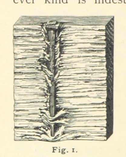 An illustration from Eclectic Physical Geography, 1889, leaf 14