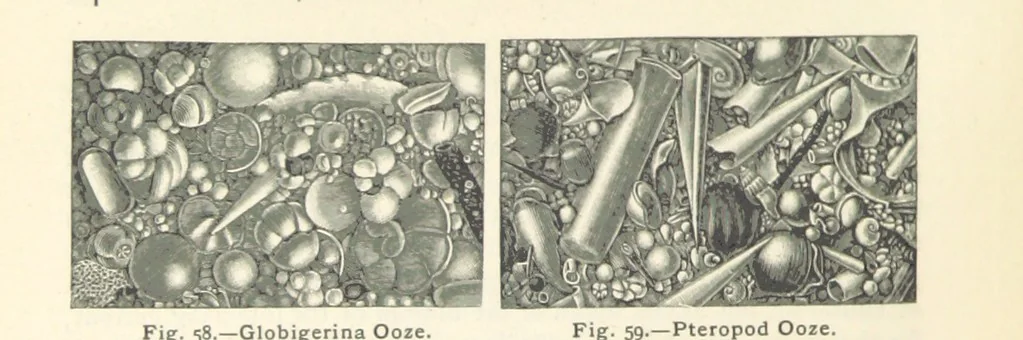 An illustration from Eclectic Physical Geography, 1889, leaf 152