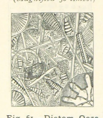 An illustration from Eclectic Physical Geography, 1889, leaf 152