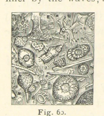An illustration from Eclectic Physical Geography, 1889, leaf 152