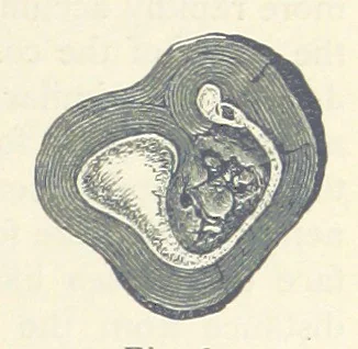 An illustration from Eclectic Physical Geography, 1889, leaf 153