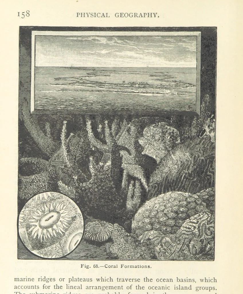 An illustration from Eclectic Physical Geography, 1889, leaf 164
