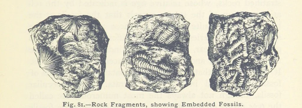 An illustration from Eclectic Physical Geography, 1889, leaf 197