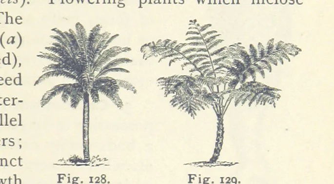 An illustration from Eclectic Physical Geography, 1889, leaf 327