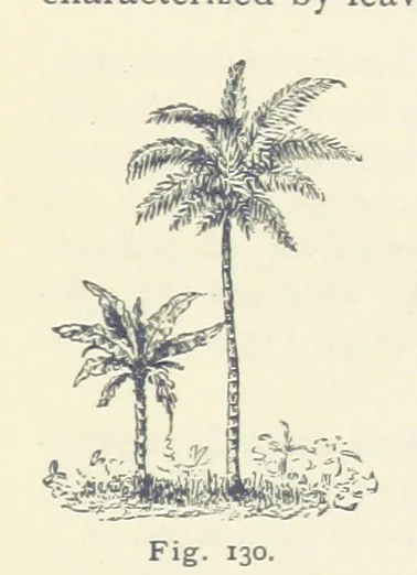 An illustration from Eclectic Physical Geography, 1889, leaf 327