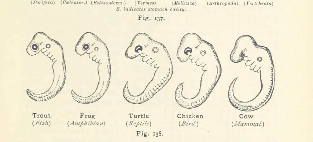 An illustration from Eclectic Physical Geography, 1889, leaf 331