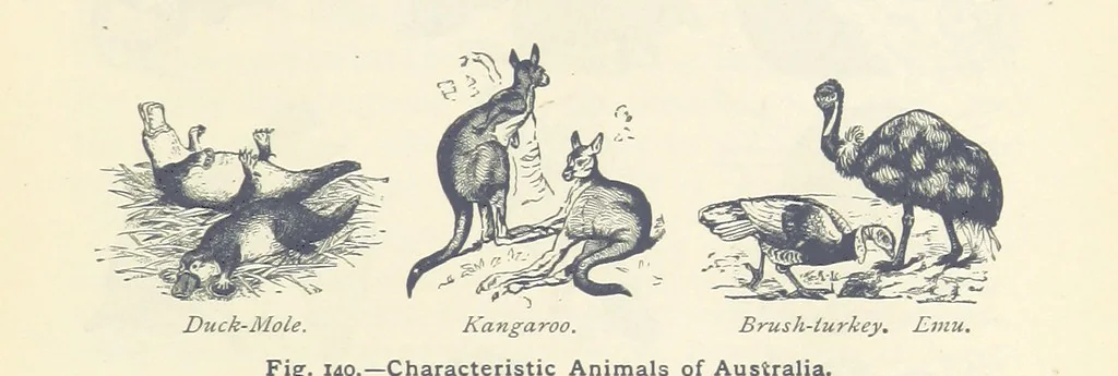 An illustration from Eclectic Physical Geography, 1889, leaf 345