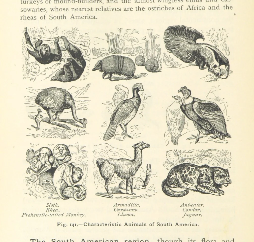 An illustration from Eclectic Physical Geography, 1889, leaf 346