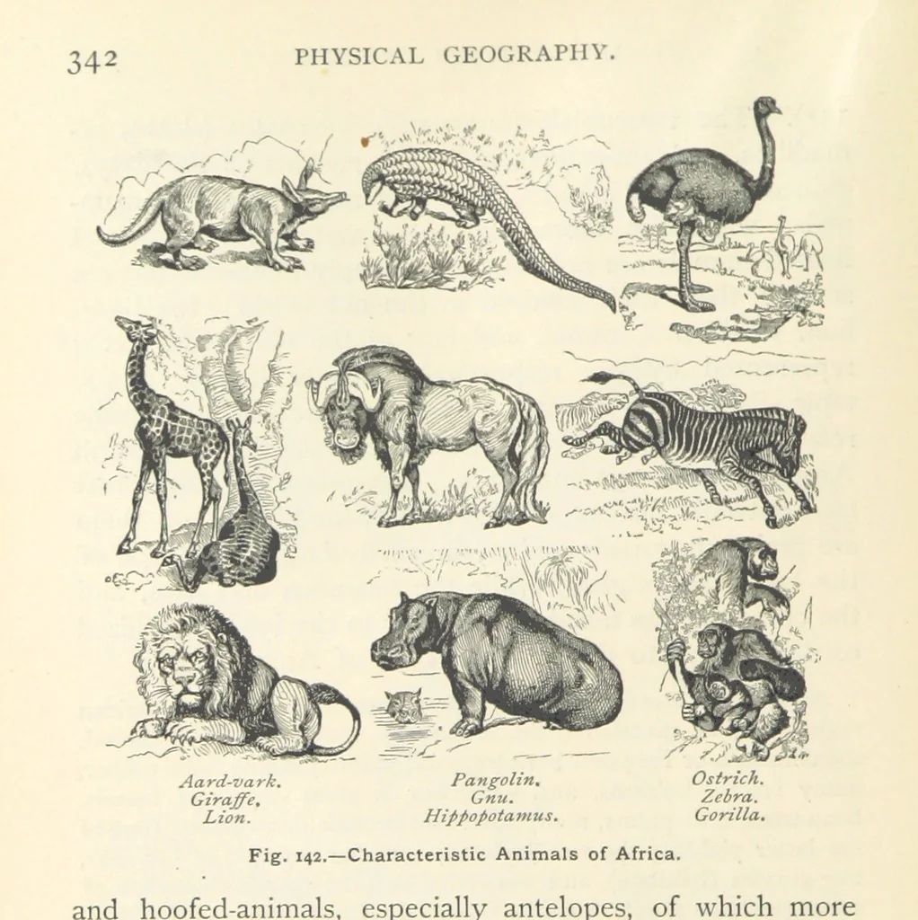 An illustration from Eclectic Physical Geography, 1889, leaf 348