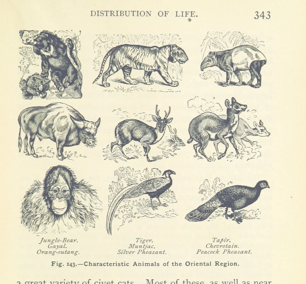 An illustration from Eclectic Physical Geography, 1889, leaf 349