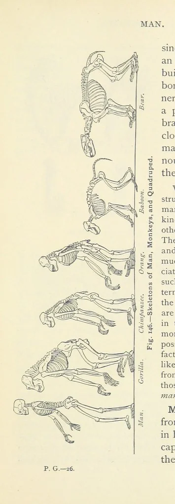 An illustration from Eclectic Physical Geography, 1889, leaf 357