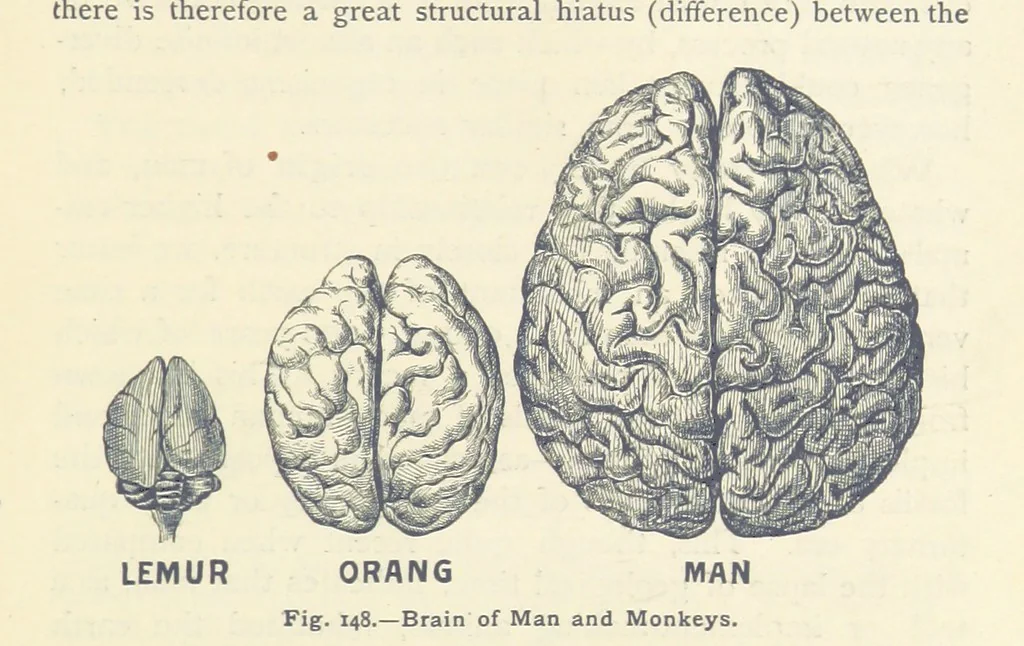 An illustration from Eclectic Physical Geography, 1889, leaf 359