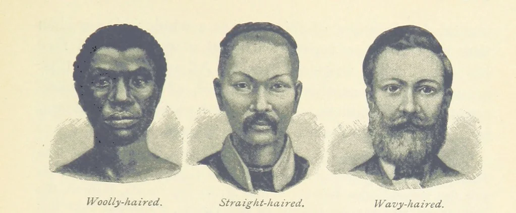 An illustration from Eclectic Physical Geography, 1889, leaf 365