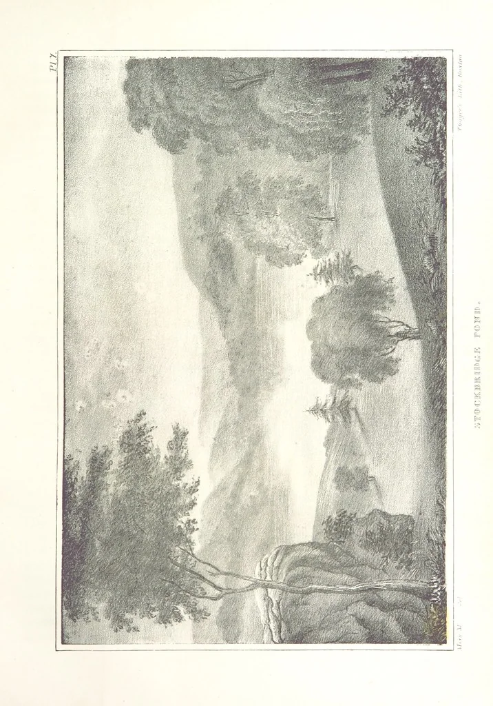 An illustration from Sketch of the scenery of Massachusetts. With plates. From the Geological Report of Prof. Hitchcock, 1842, leaf 49