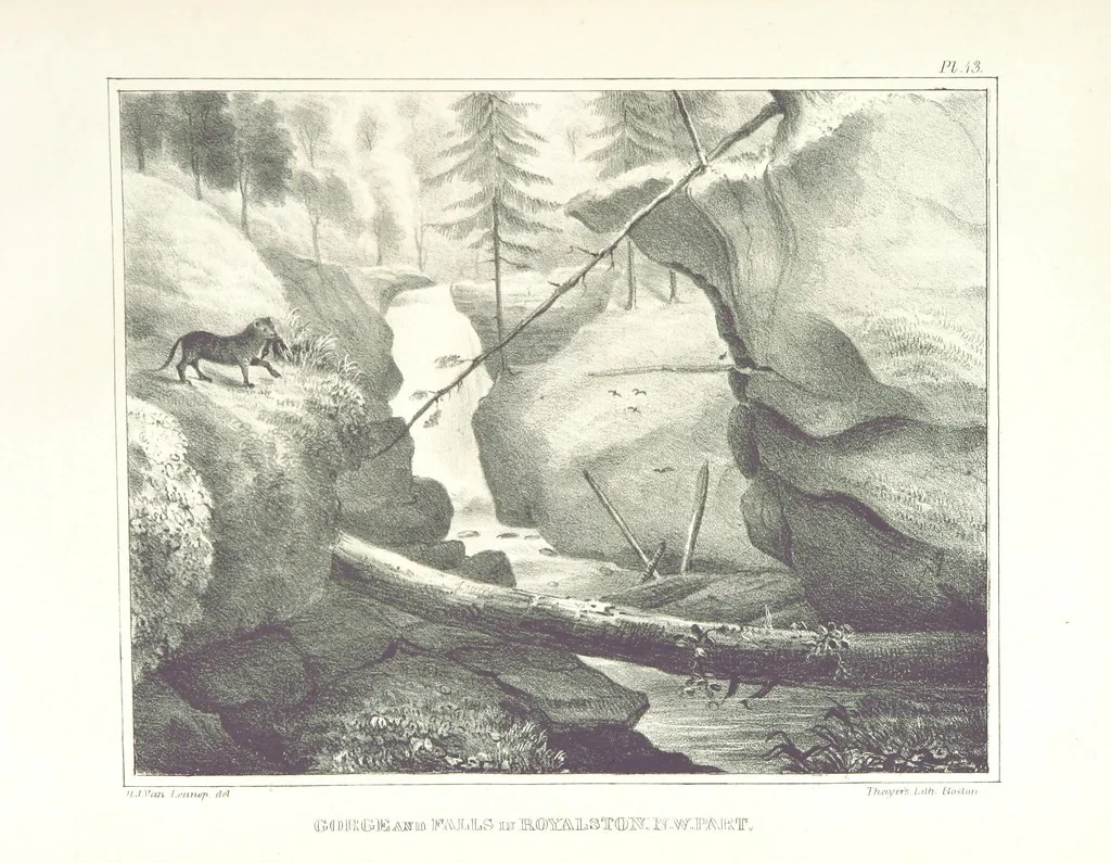 An illustration from Sketch of the scenery of Massachusetts. With plates. From the Geological Report of Prof. Hitchcock, 1842, leaf 91