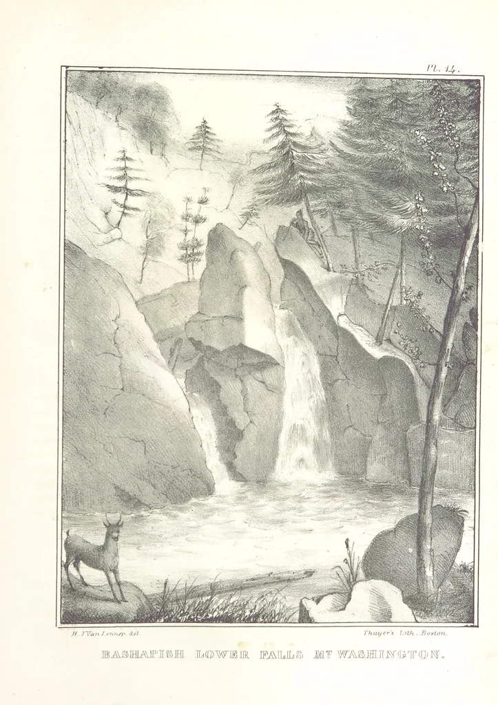 An illustration from Sketch of the scenery of Massachusetts. With plates. From the Geological Report of Prof. Hitchcock, 1842, leaf 99