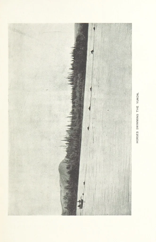 An illustration from Two Women in the Klondike. The story of a journey to the gold-fields of Alaska ... With 105 illustrations and map, 1899, leaf 107