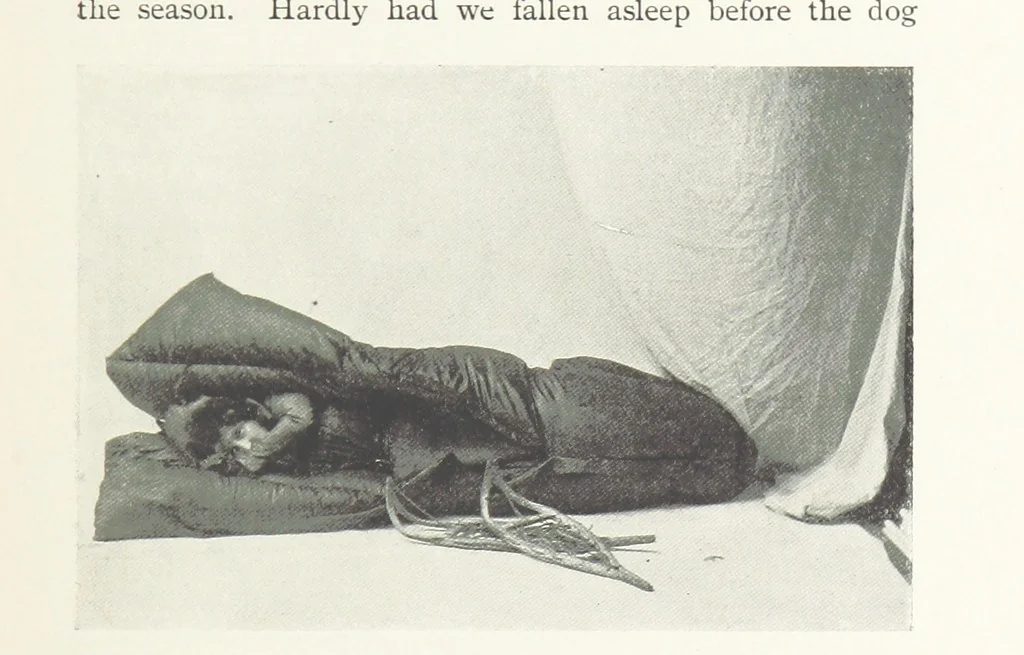 An illustration from Two Women in the Klondike. The story of a journey to the gold-fields of Alaska ... With 105 illustrations and map, 1899, leaf 143