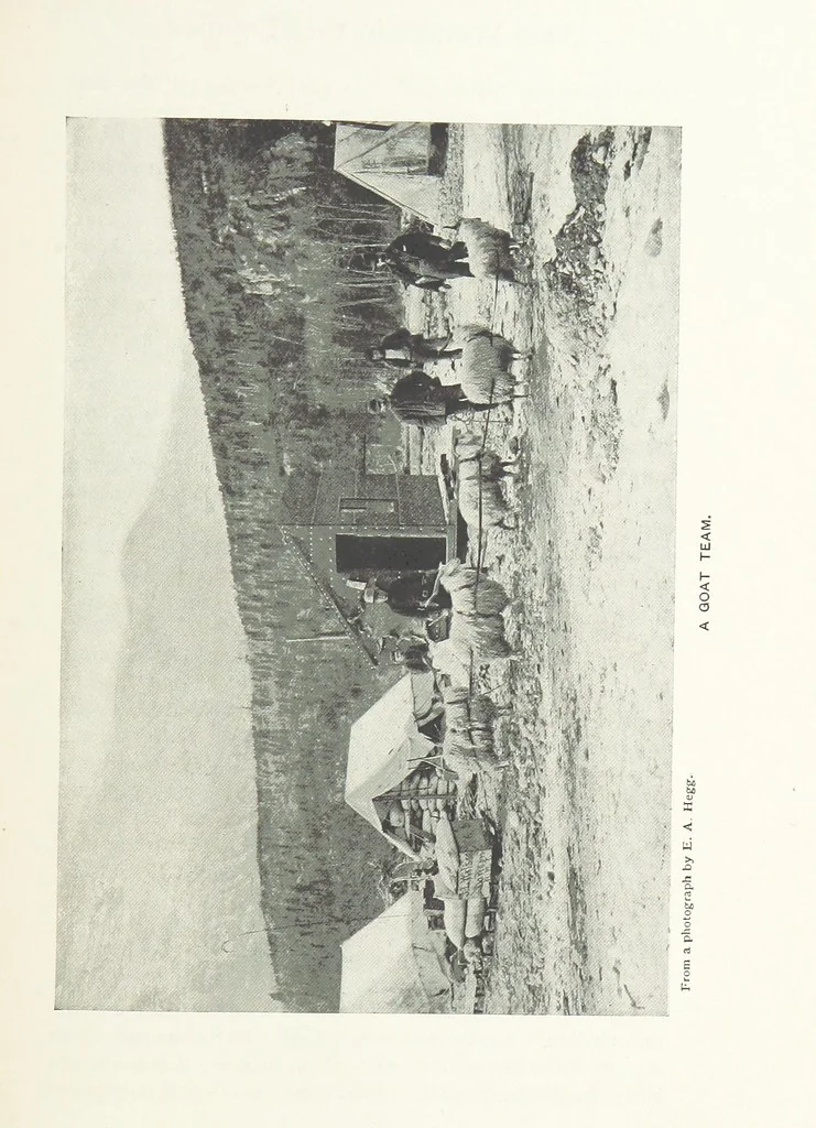 An illustration from Two Women in the Klondike. The story of a journey to the gold-fields of Alaska ... With 105 illustrations and map, 1899, leaf 155