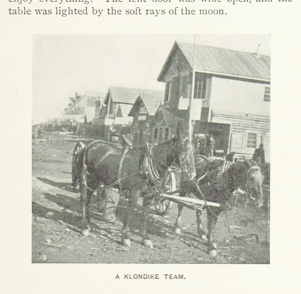 An illustration from Two Women in the Klondike. The story of a journey to the gold-fields of Alaska ... With 105 illustrations and map, 1899, leaf 301