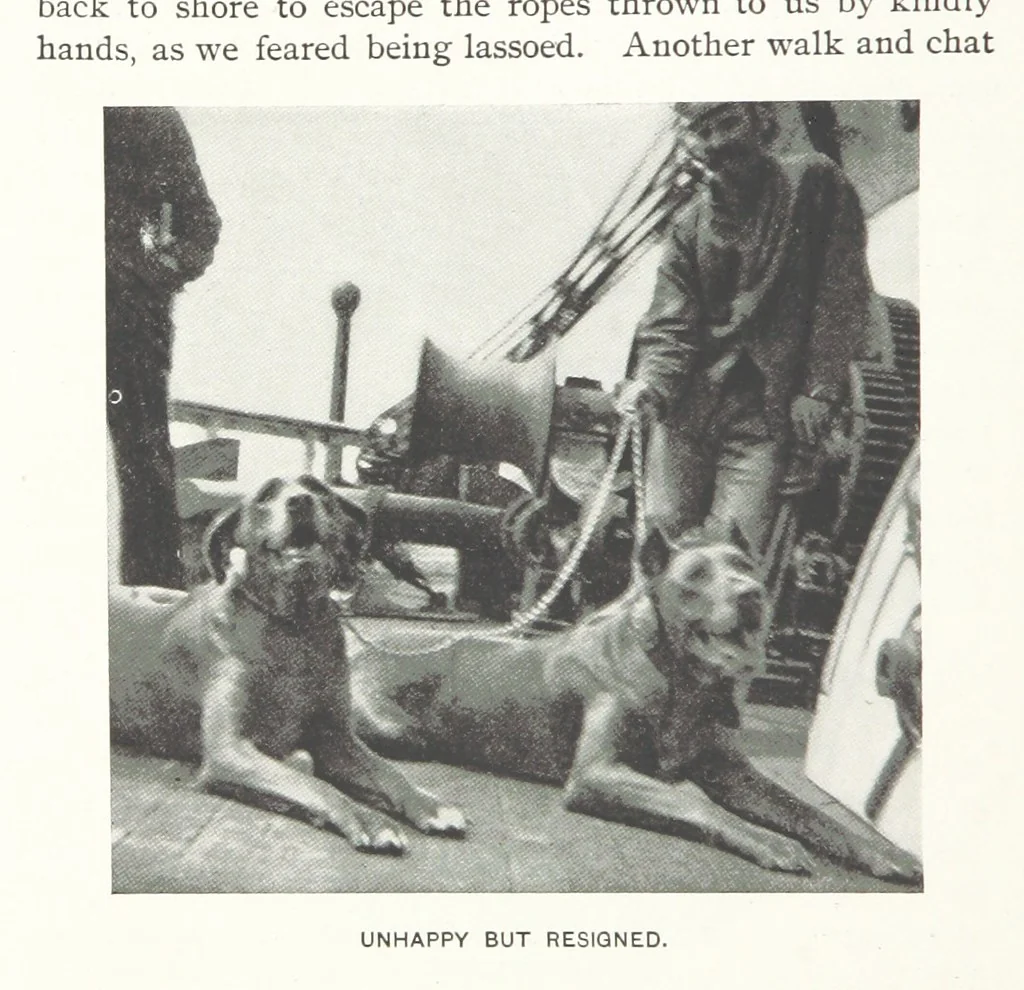 An illustration from Two Women in the Klondike. The story of a journey to the gold-fields of Alaska ... With 105 illustrations and map, 1899, leaf 44