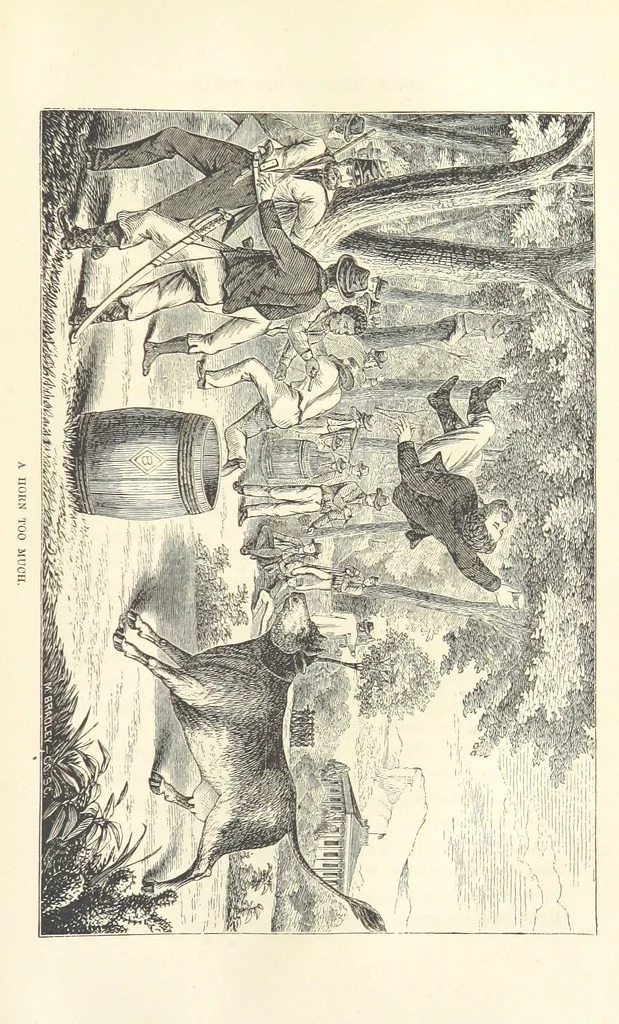 An illustration from Wild Life in the Far West; personal adventures of a Border Mountain Man, etc, 1875, leaf 181