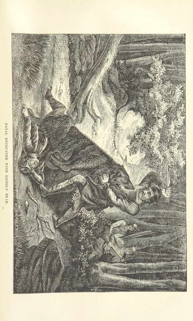 An illustration from Wild Life in the Far West; personal adventures of a Border Mountain Man, etc, 1875, leaf 263