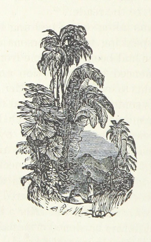 An illustration from Wild Life in the Far West; personal adventures of a Border Mountain Man, etc, 1875, leaf 406