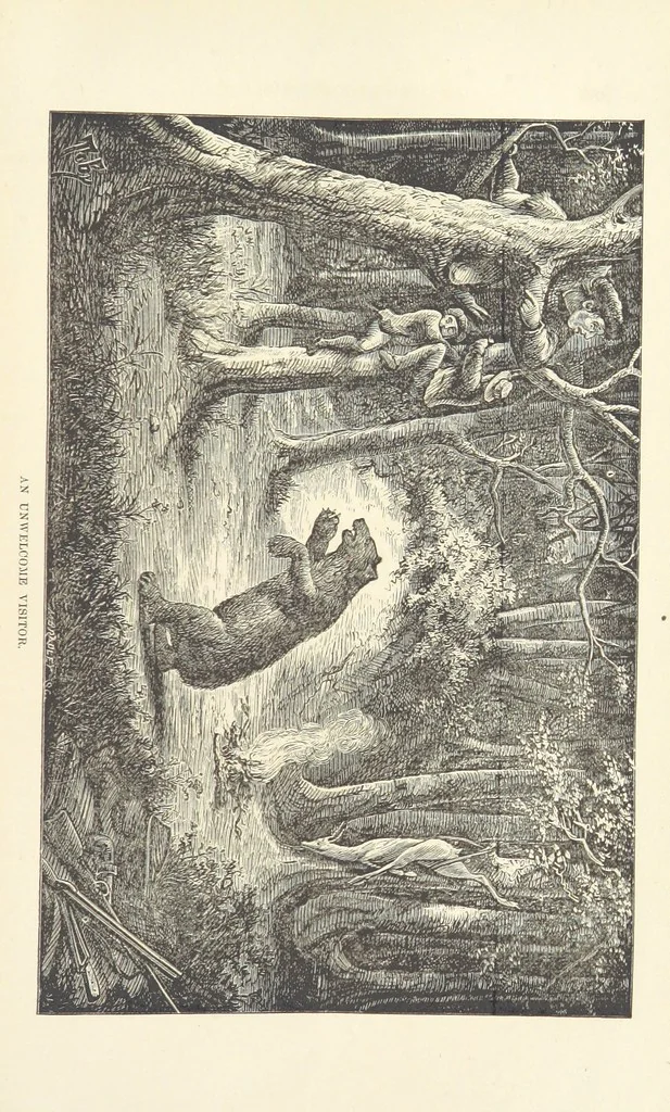 An illustration from Wild Life in the Far West; personal adventures of a Border Mountain Man, etc, 1875, leaf 431