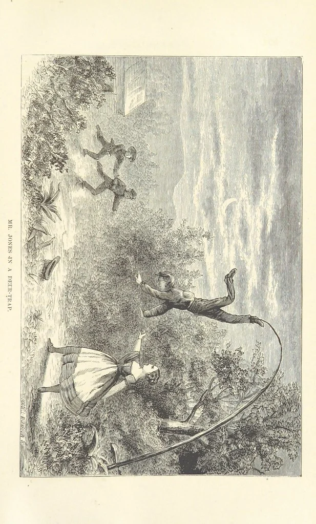 An illustration from Wild Life in the Far West; personal adventures of a Border Mountain Man, etc, 1875, leaf 439