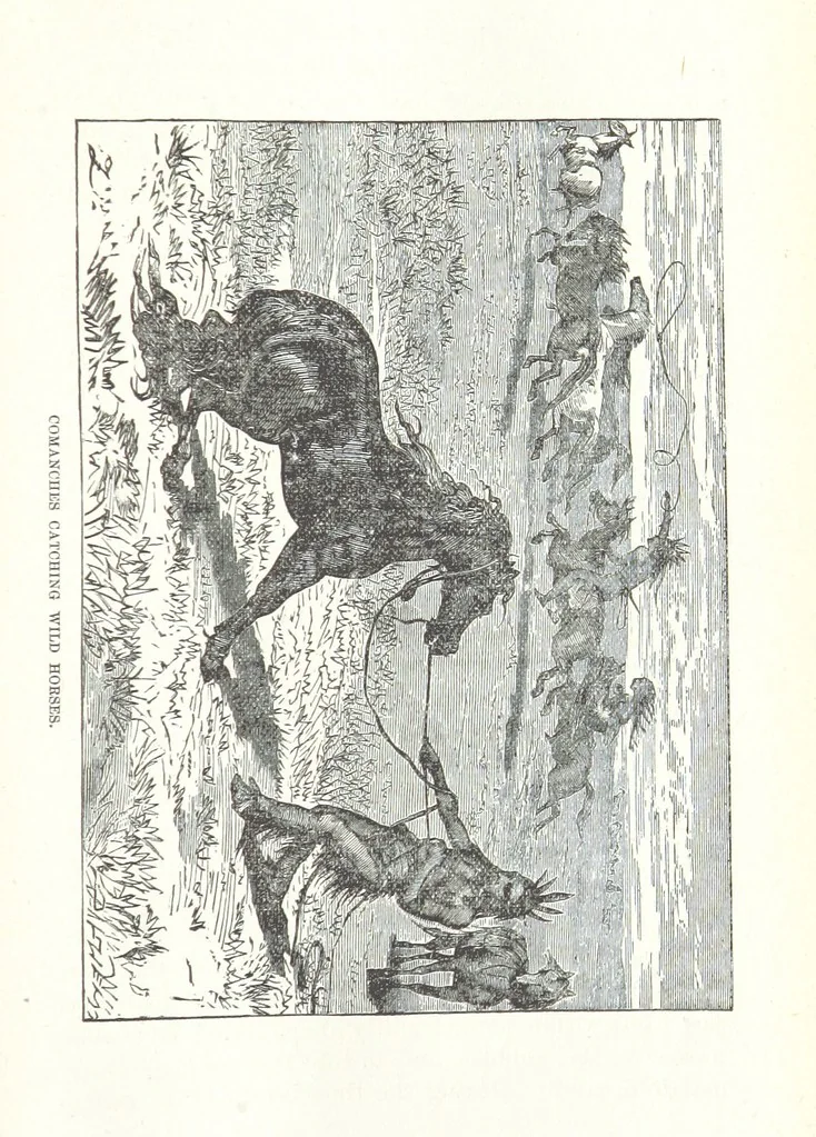 An illustration from Wild Life in the Far West; personal adventures of a Border Mountain Man, etc, 1875, leaf 507