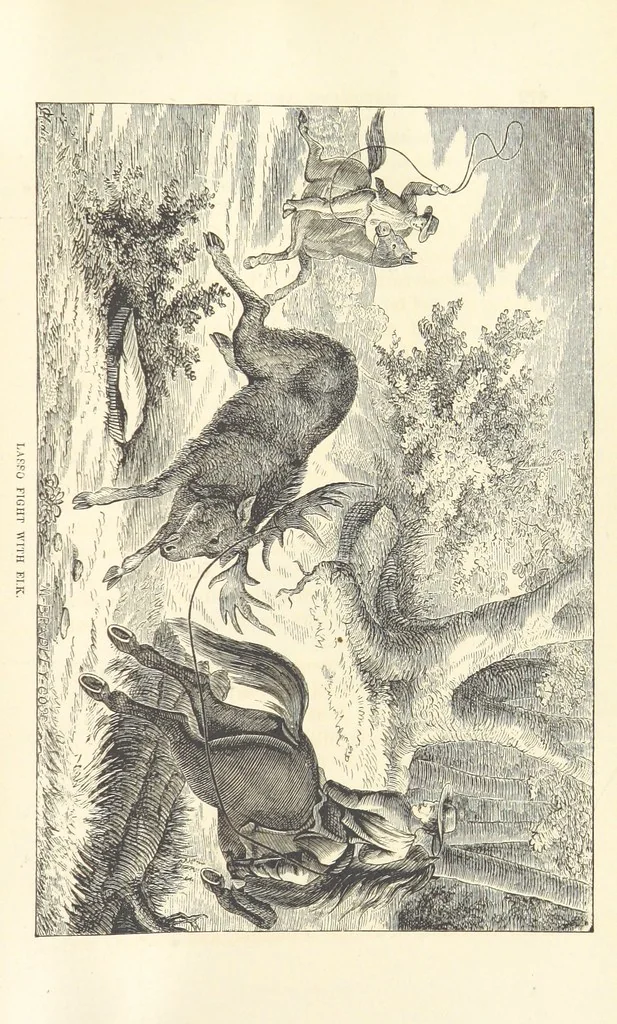 An illustration from Wild Life in the Far West; personal adventures of a Border Mountain Man, etc, 1875, leaf 521