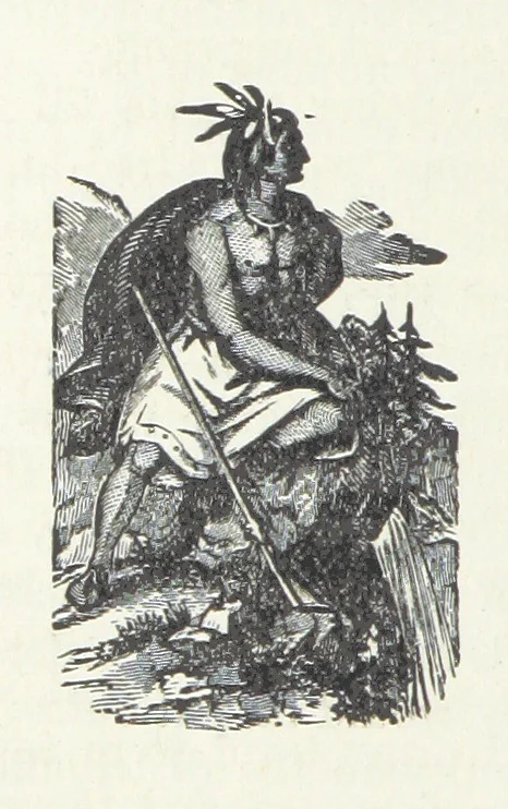 An illustration from Wild Life in the Far West; personal adventures of a Border Mountain Man, etc, 1875, leaf 86