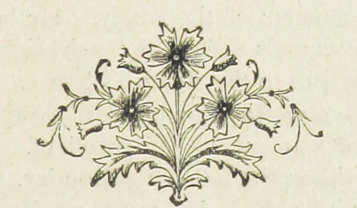 An illustration from Ishmael Pengelly, an outcast, 1893, leaf 205