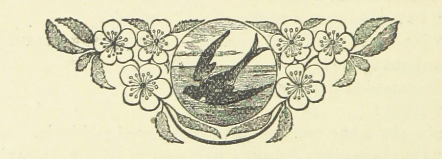 An illustration from Ishmael Pengelly, an outcast, 1893, leaf 230