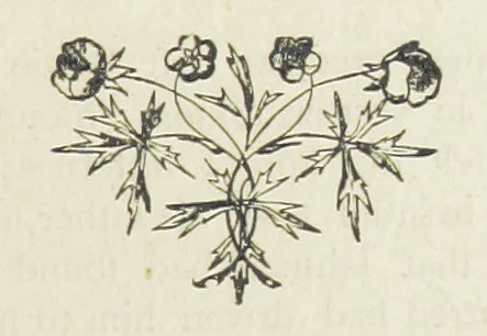 An illustration from Ishmael Pengelly, an outcast, 1893, leaf 431