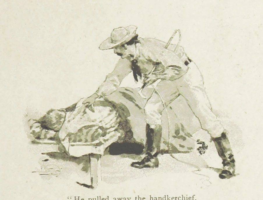 An illustration from Ishmael Pengelly, an outcast, 1893, leaf 9