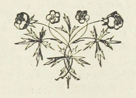 An illustration from Ishmael Pengelly, an outcast, 1893, leaf 91