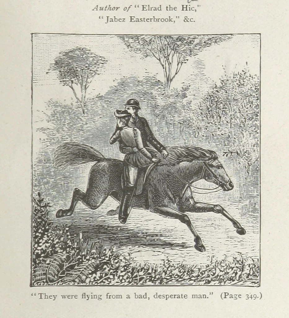 An illustration from Zillah. A romance, 1892, leaf 9