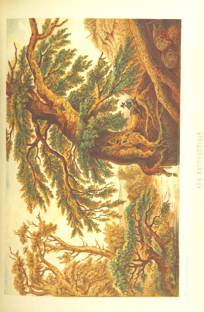 An illustration from Lauwerbladen uit Neêrlands Gloriekrans. [With 27 coloured plates, 1875, leaf 407