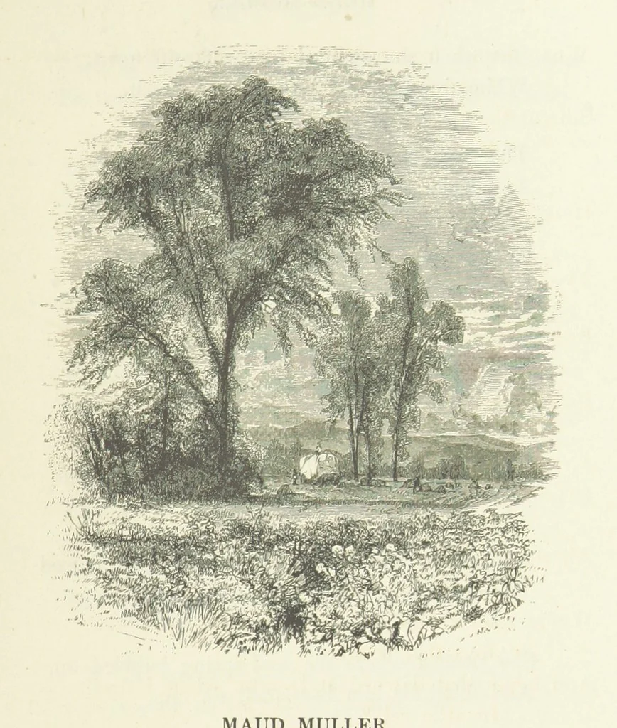 An illustration from Illustrated Library of favorite Song. Based upon folk songs. ... With an introduction, and edited by J. G. Holland ... Illustrated with ... engravings, ... after designs by Church, Johnson, etc, 1873, leaf 125