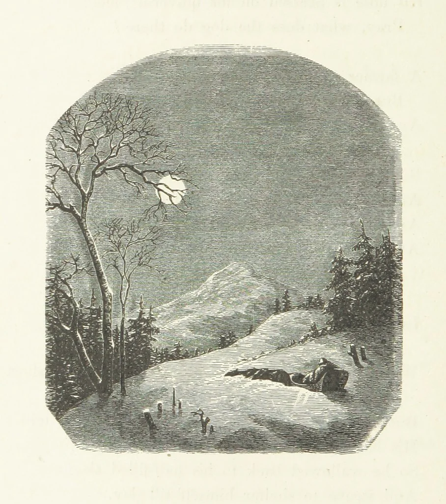 An illustration from Illustrated Library of favorite Song. Based upon folk songs. ... With an introduction, and edited by J. G. Holland ... Illustrated with ... engravings, ... after designs by Church, Johnson, etc, 1873, leaf 160