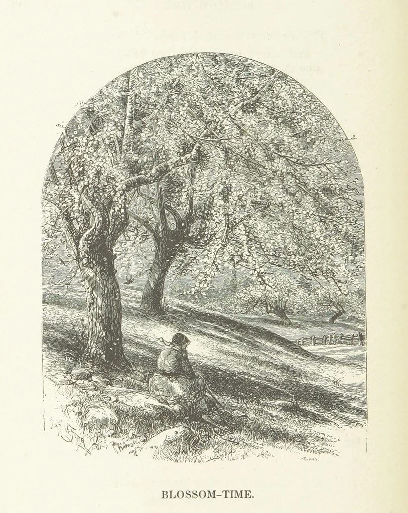 An illustration from Illustrated Library of favorite Song. Based upon folk songs. ... With an introduction, and edited by J. G. Holland ... Illustrated with ... engravings, ... after designs by Church, Johnson, etc, 1873, leaf 170