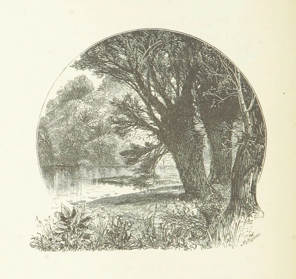 An illustration from Illustrated Library of favorite Song. Based upon folk songs. ... With an introduction, and edited by J. G. Holland ... Illustrated with ... engravings, ... after designs by Church, Johnson, etc, 1873, leaf 250