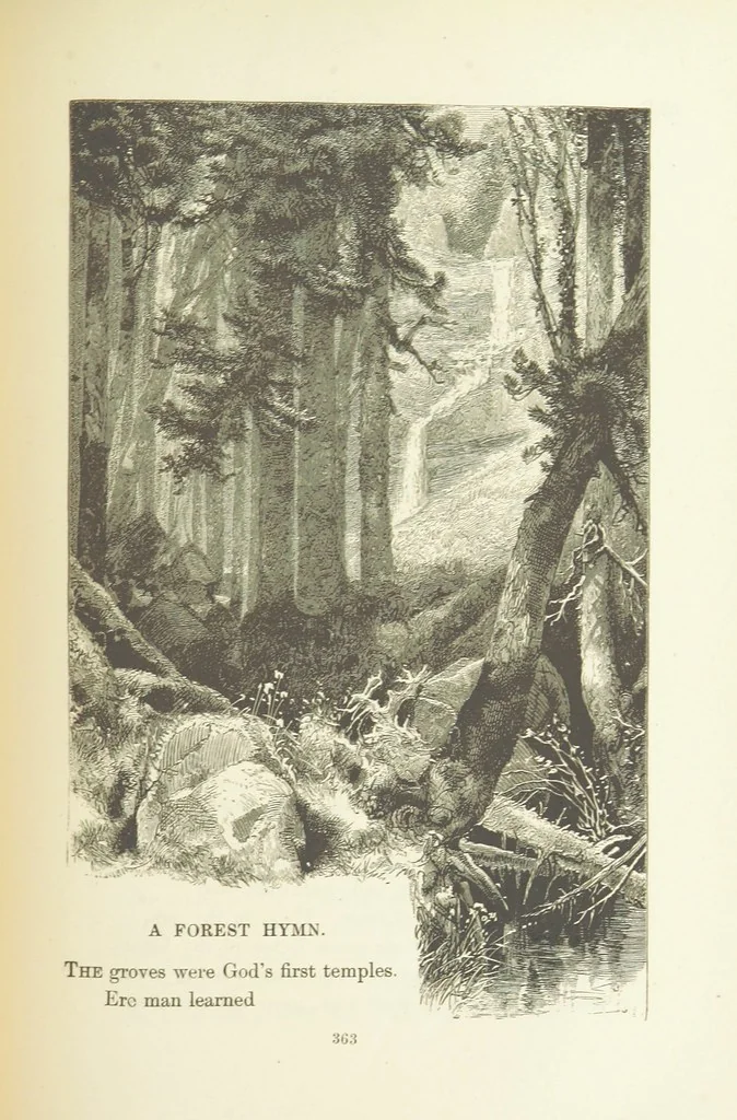 An illustration from Illustrated Library of favorite Song. Based upon folk songs. ... With an introduction, and edited by J. G. Holland ... Illustrated with ... engravings, ... after designs by Church, Johnson, etc, 1873, leaf 365