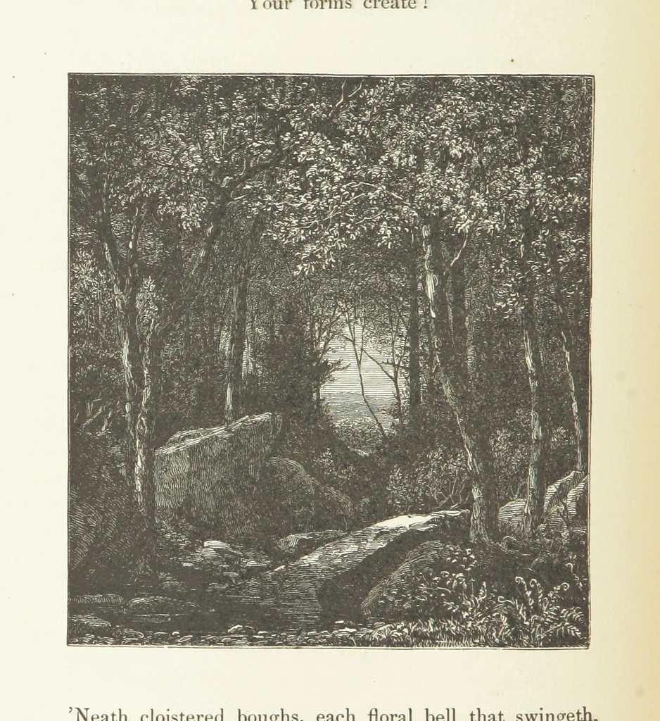 An illustration from Illustrated Library of favorite Song. Based upon folk songs. ... With an introduction, and edited by J. G. Holland ... Illustrated with ... engravings, ... after designs by Church, Johnson, etc, 1873, leaf 400
